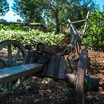 Villa Rural House Mudrinic 