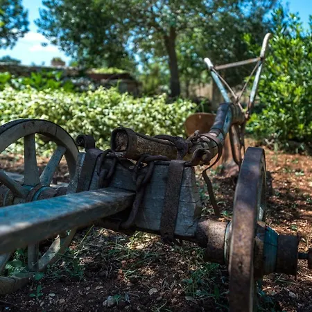 וילה Rural House Mudrinic 