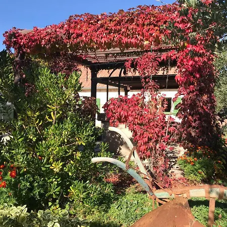 Rural House Mudrinic 
