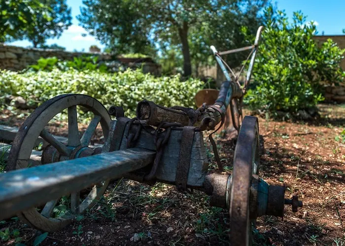 Villa Rural House Mudrinic 